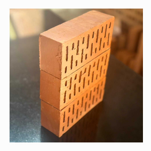 Perforated Brick in India | Dongre Bricks